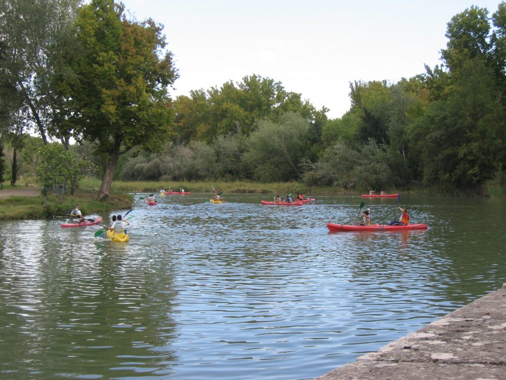 Piraguas en el río Tajo a su paso por Aranjuez, entre arboledas