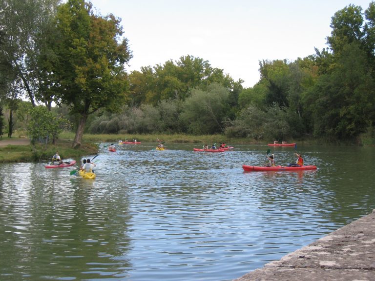 Piraguas en el río Tajo a su paso por Aranjuez, entre arboledas